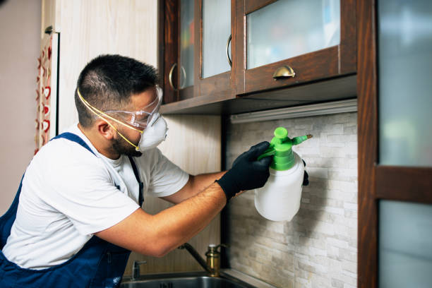 Best Ant Control Services  in Geronimo, OK