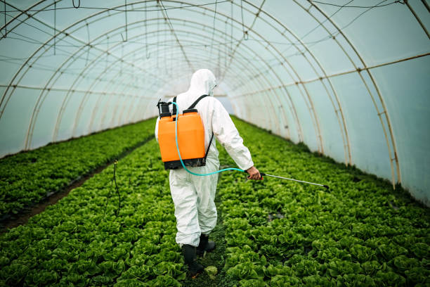Best Pest Prevention Services  in Geronimo, OK