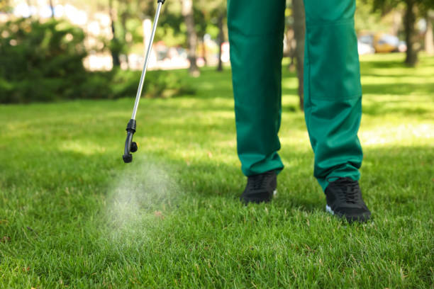 Best Cockroach Control Services  in Geronimo, OK