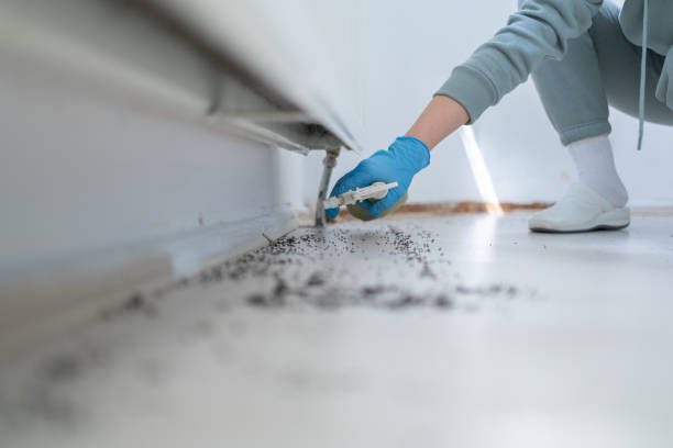 Best Pest Control Near Me in Geronimo, OK